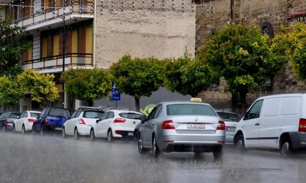 Τρίκαλα: Δυνατό μπουρίνι ξερίζωσε δέντρα και προκάλεσε ζημιές (βίντεο)